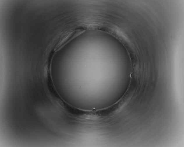 X0000088210644200705292053