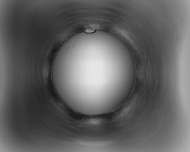 X0000088210645200705292053