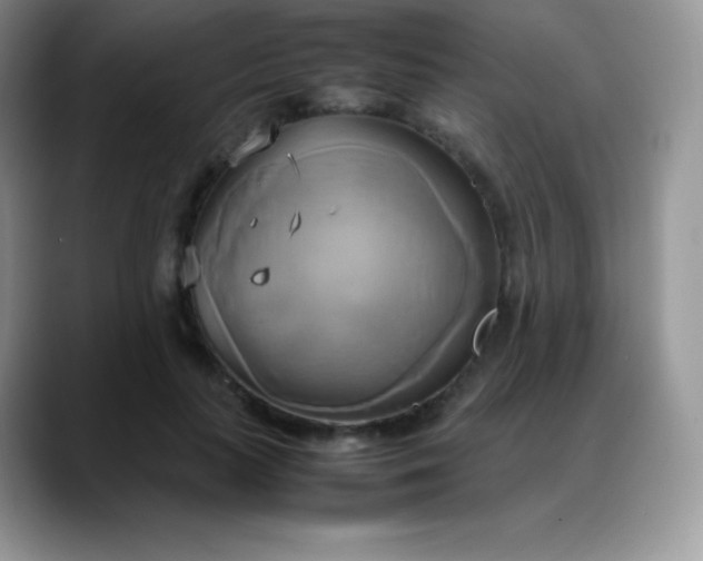X0000088210647200705292053