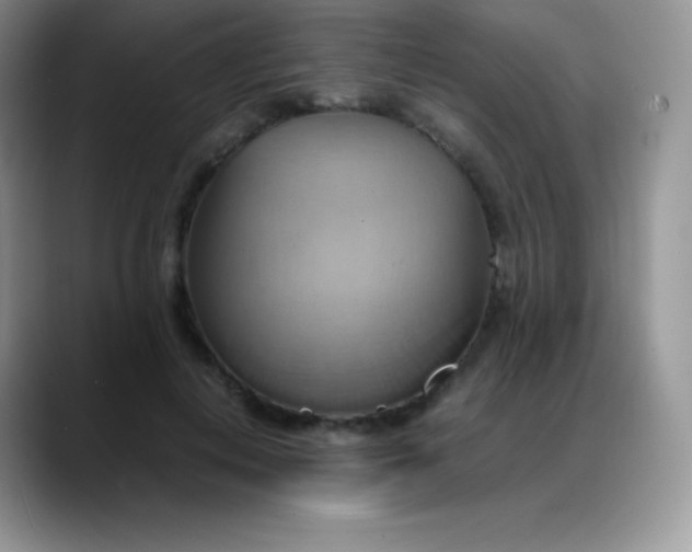 X0000088210648200705292053