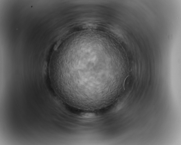 X0000088210649200705292053