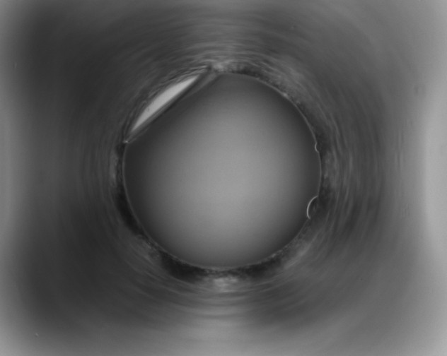 X0000088210650200705292053