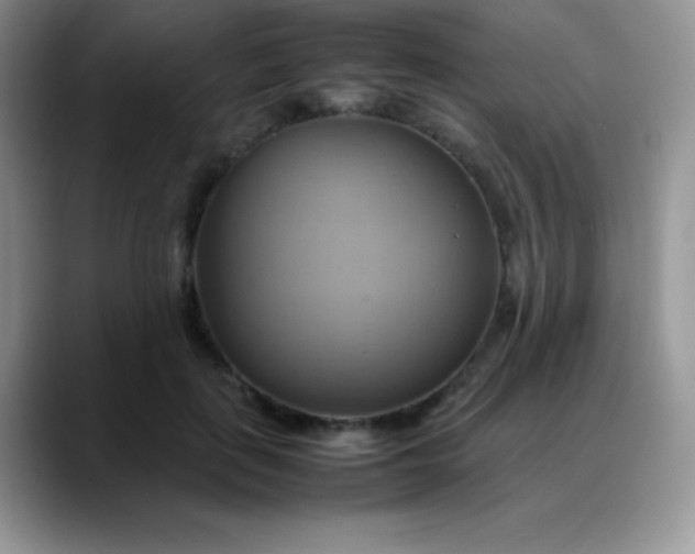 X0000088210651200705292053
