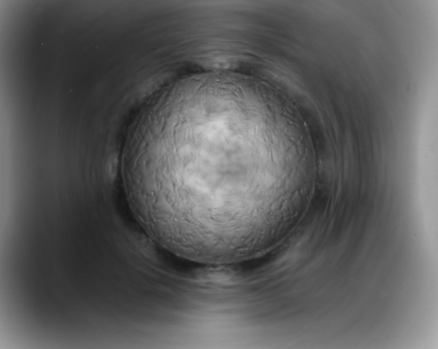 X0000088210652200705292053