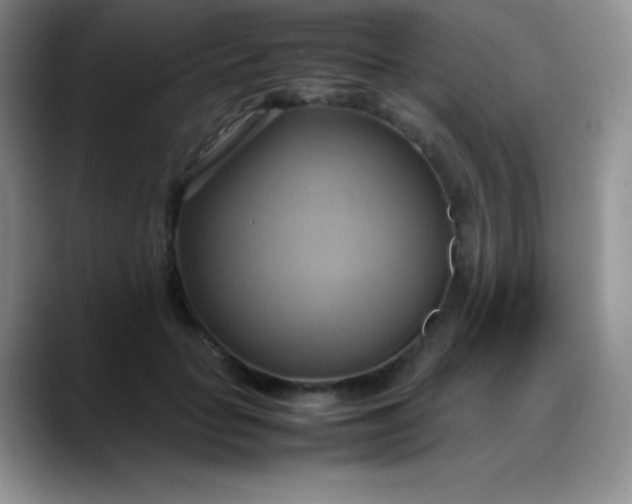 X0000088210653200705292053