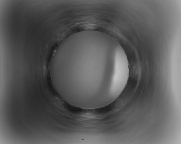X0000088210655200705292053