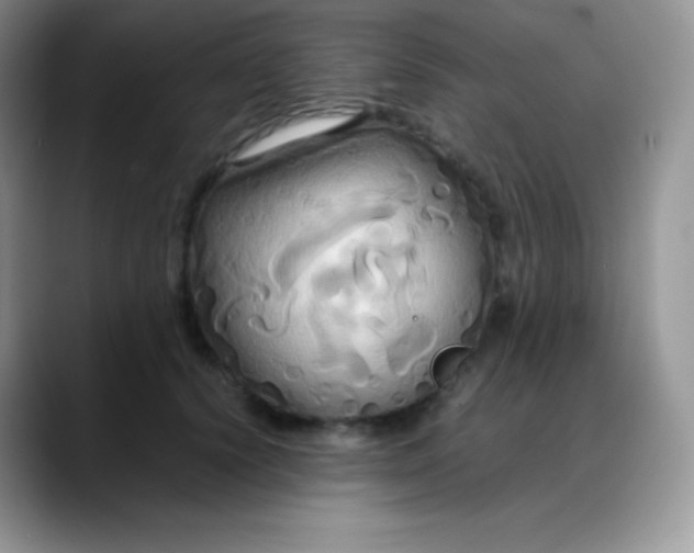 X0000088210656200705292053
