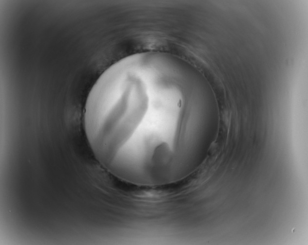 X0000088210657200705292053