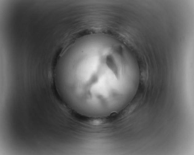 X0000088210662200705292053