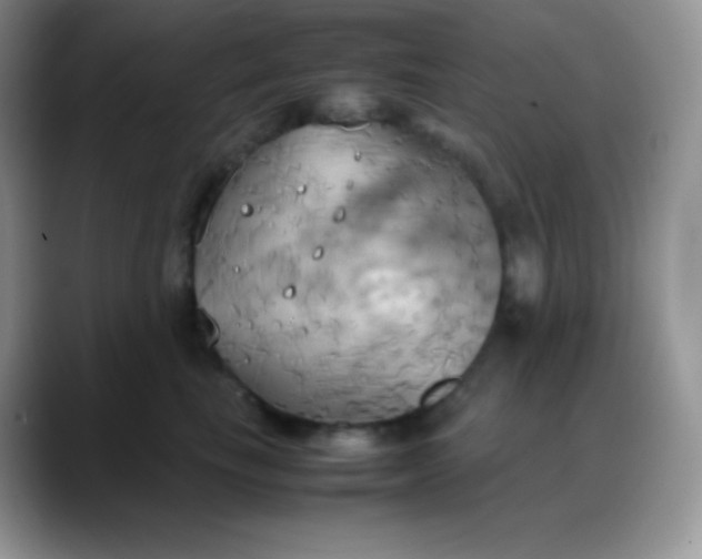 X0000088210665200705292053