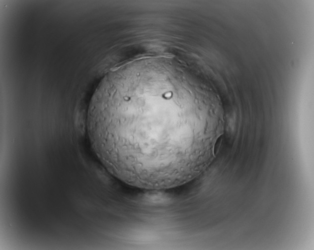 X0000088210666200705292053