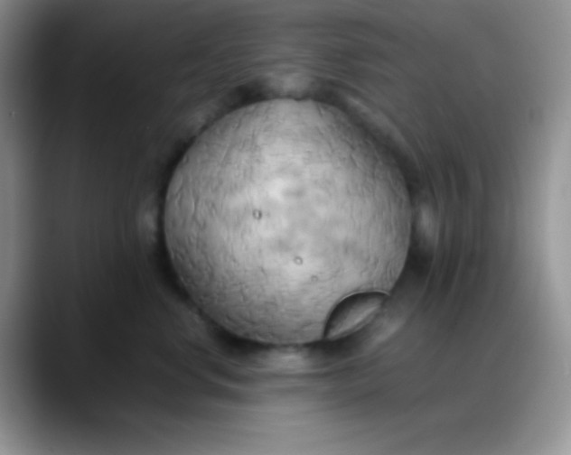 X0000088210668200705292053