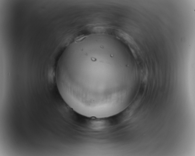 X0000088210669200705292054