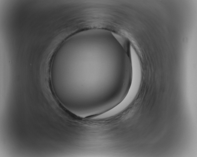X0000088210673200705292053