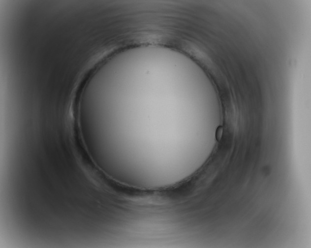X0000088210674200705292053