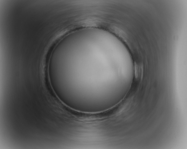 X0000088210675200705292053