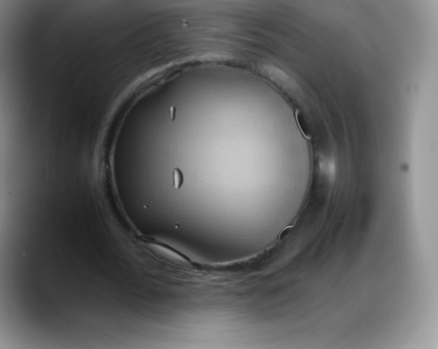 X0000088210676200705292053