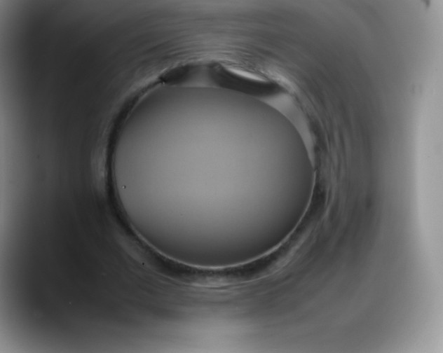 X0000088210677200705292053
