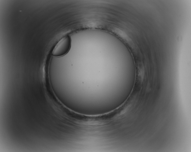 X0000088210678200705292053