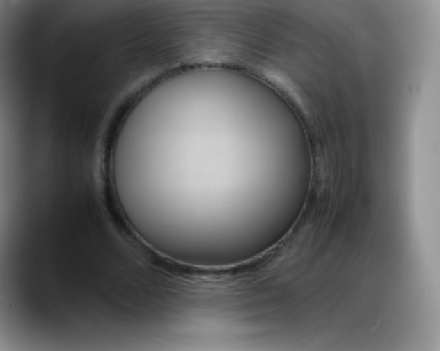 X0000088210680200705292053