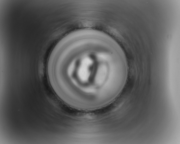 X0000088210683200705292053