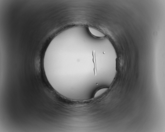 X0000088210684200705292053