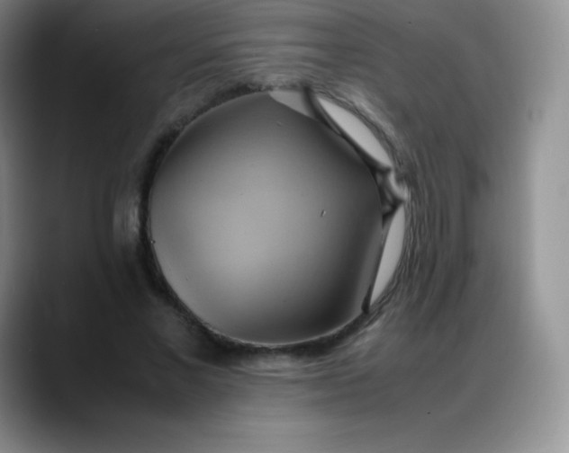 X0000088210685200705292053