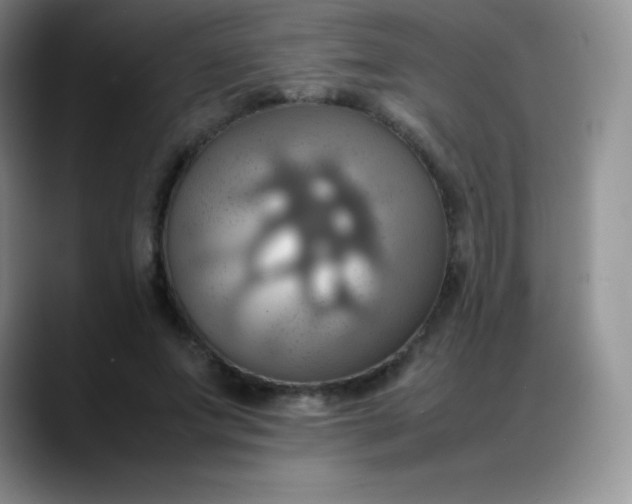 X0000088210687200705292053