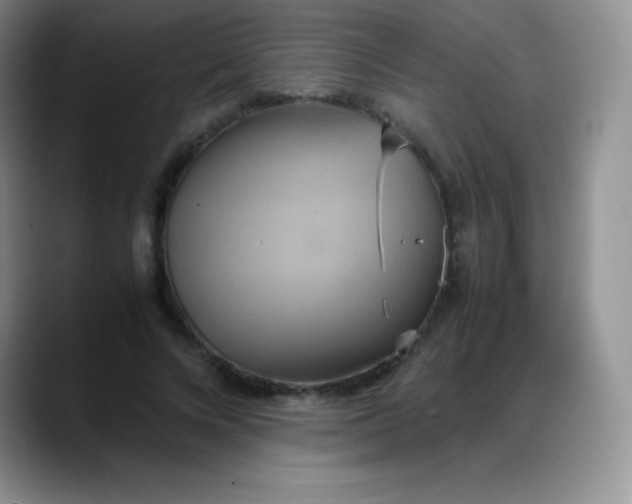 X0000088210688200705292053