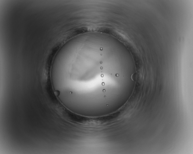 X0000088210691200705292053