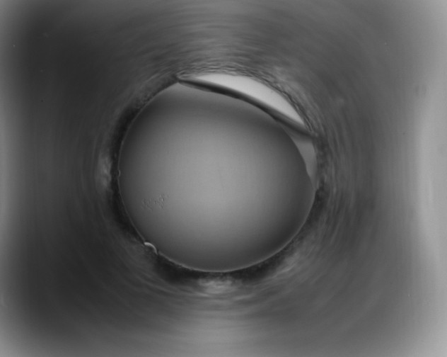 X0000088210693200705292053