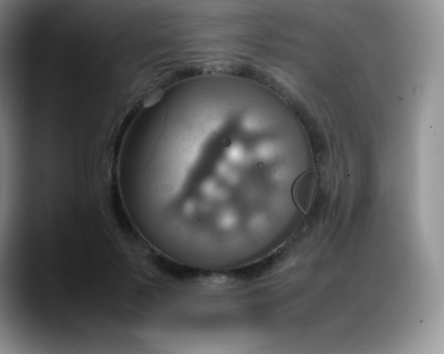 X0000088210695200705292053
