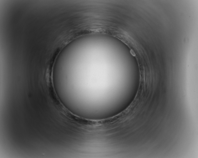 X0000088210696200705292053