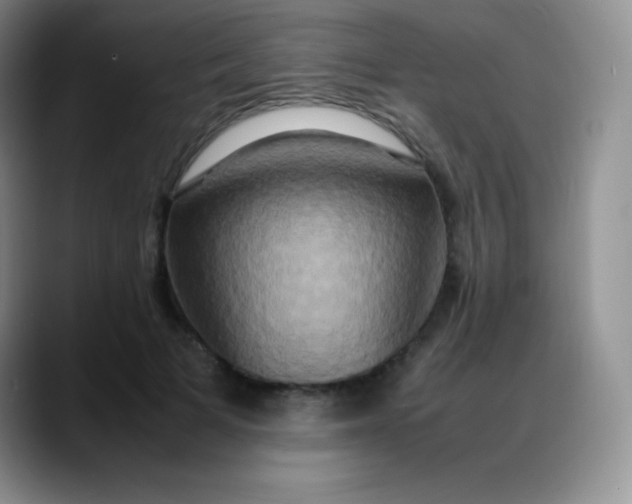 X0000088210697200705292053