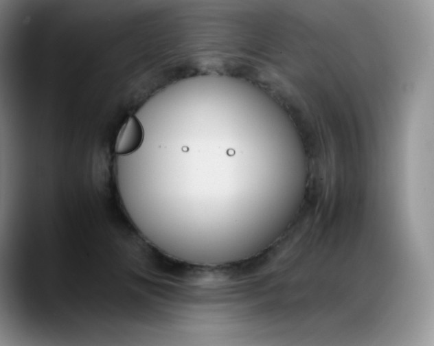 X0000088210702200705292053