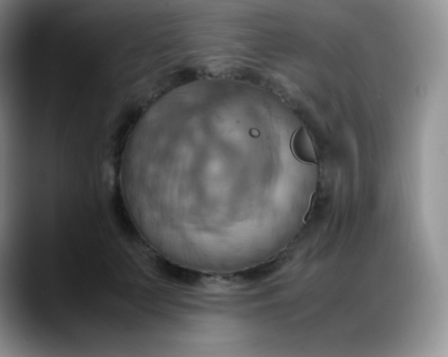 X0000088210703200705292053