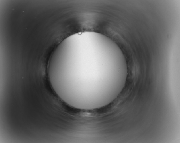 X0000088210706200705292052