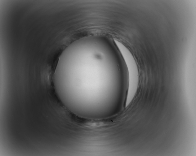 X0000088210712200705292052