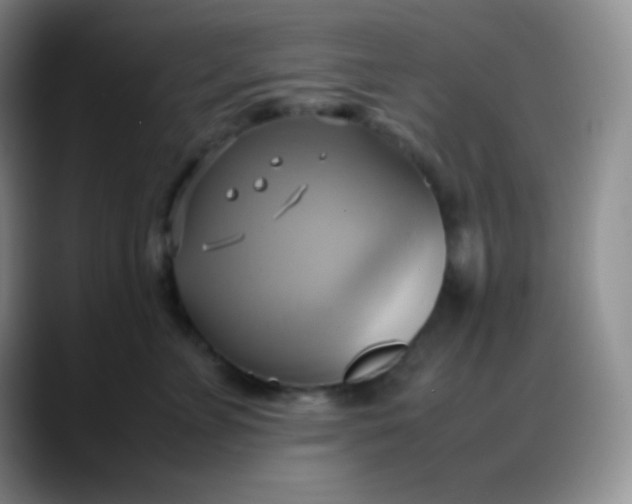 X0000088210715200705292052