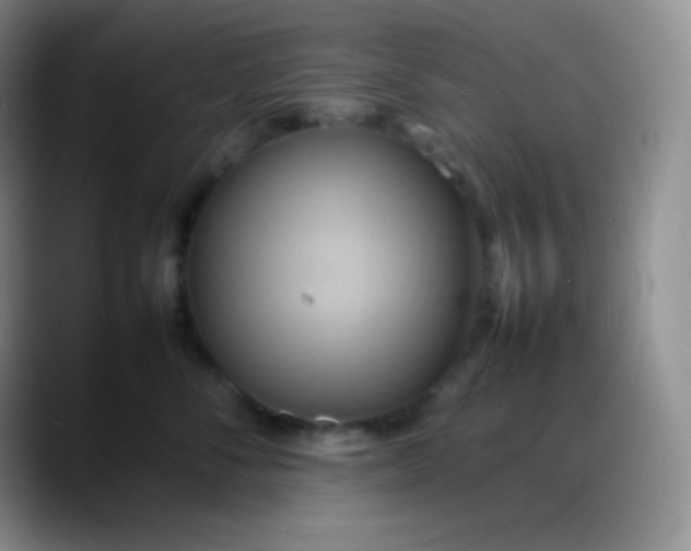 X0000088210716200705292052