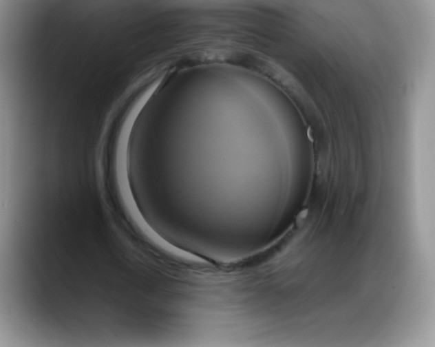 X0000088210722200705292052