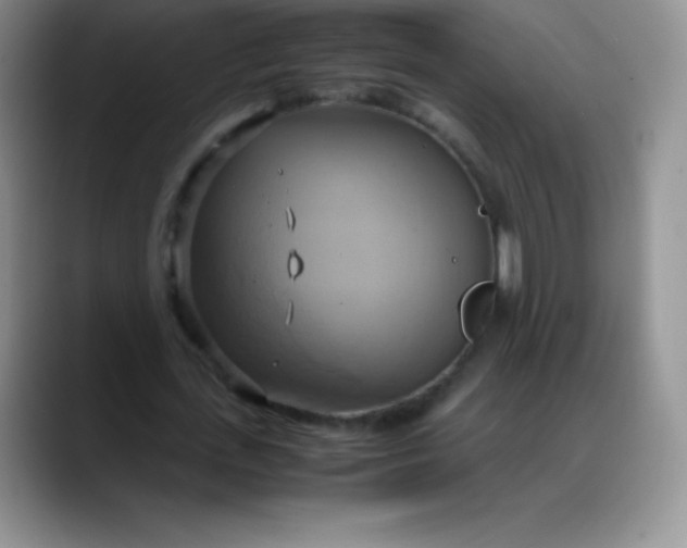 X0000088210723200705292052