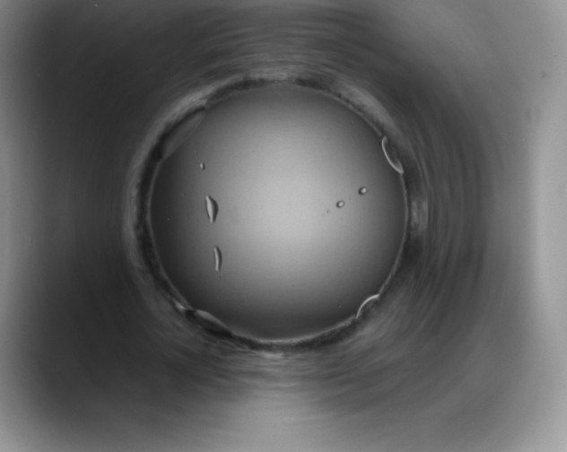 X0000088210724200705292052
