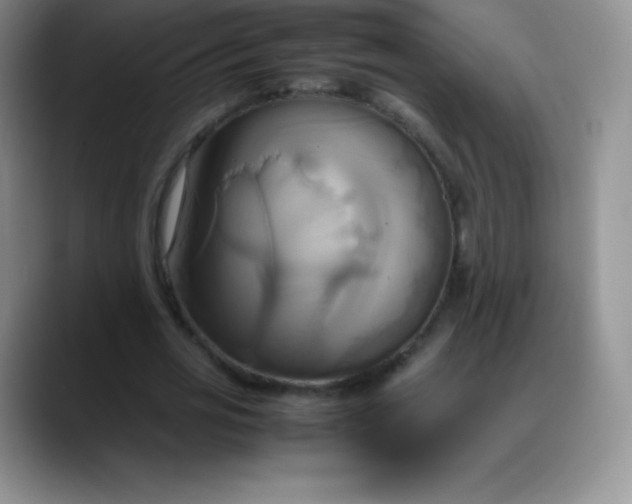 X0000088210725200705292052