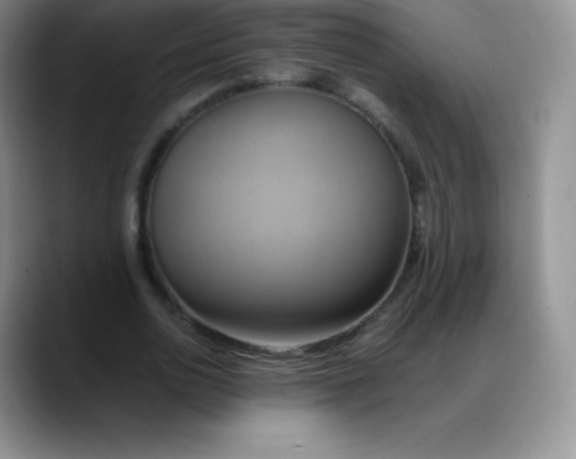 X0000088210726200705292052