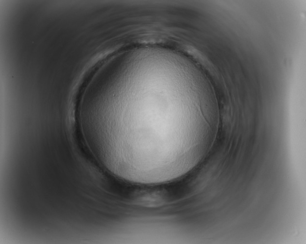 X0000088210727200705292052