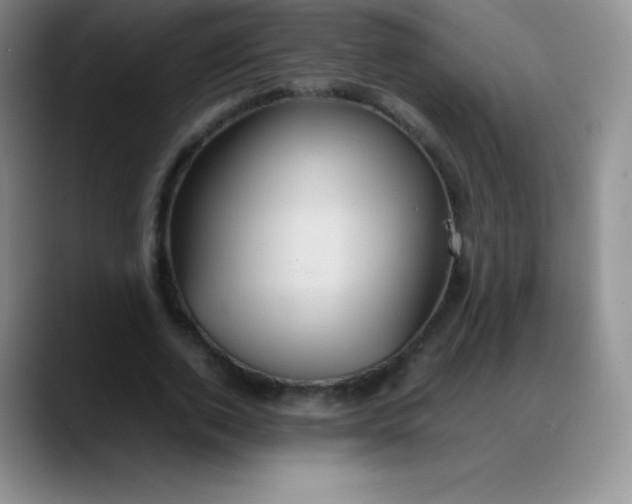 X0000088210728200705292052