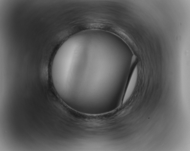 X0000088210729200705292052