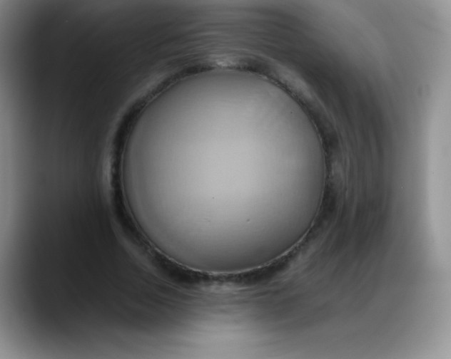 X0000088210730200705292052