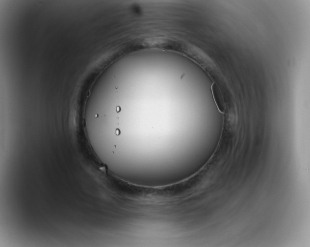 X0000088210732200705292052